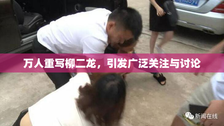 万人重写柳二龙，引发广泛关注与讨论