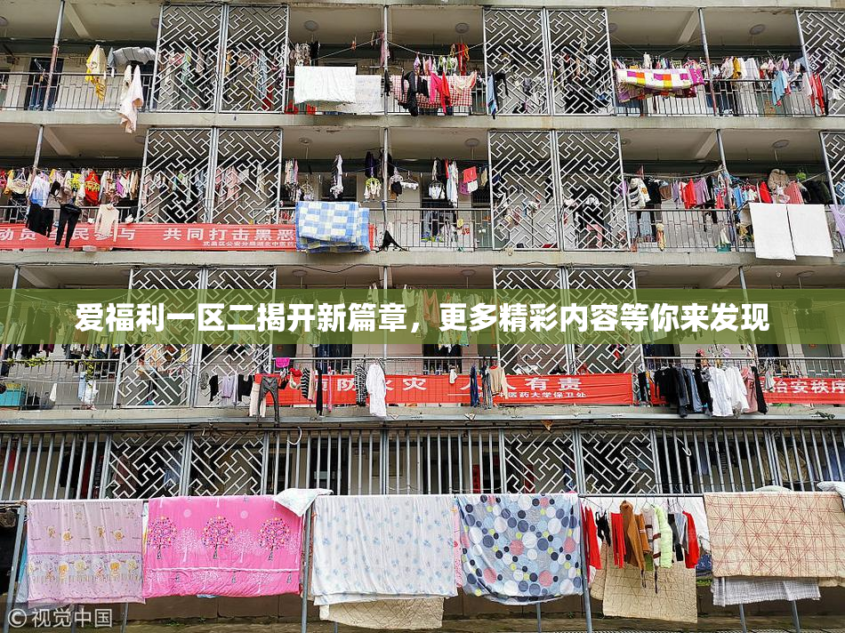 爱福利一区二揭开新篇章，更多精彩内容等你来发现