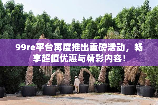 99re平台再度推出重磅活动，畅享超值优惠与精彩内容！