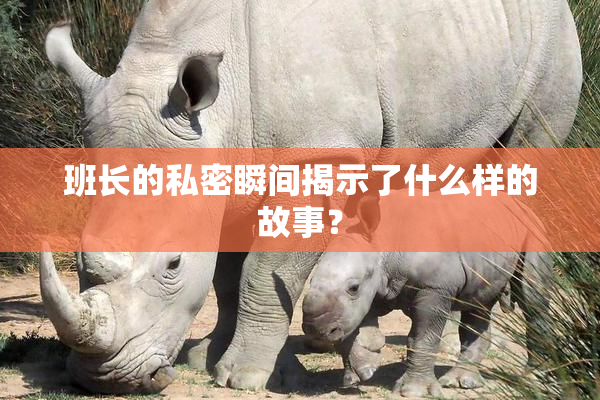 班长的私密瞬间揭示了什么样的故事？