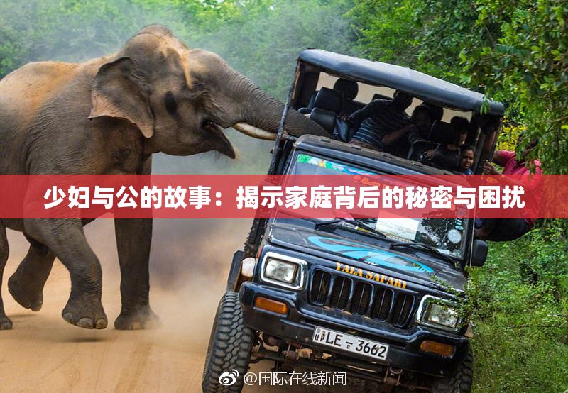 少妇与公的故事：揭示家庭背后的秘密与困扰