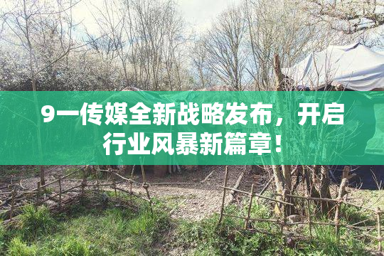 9一传媒全新战略发布，开启行业风暴新篇章！