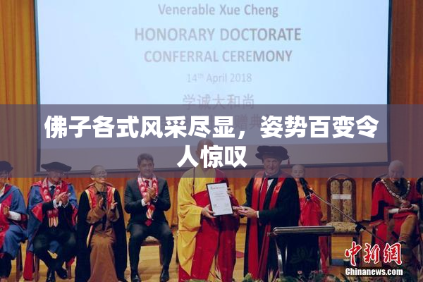 佛子各式风采尽显，姿势百变令人惊叹