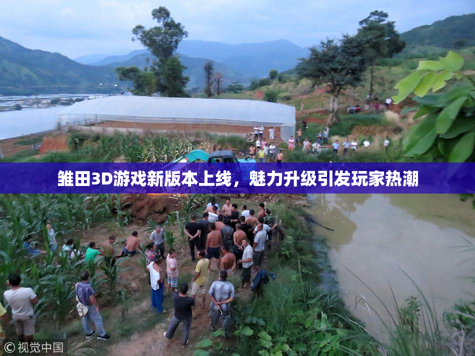 雏田3D游戏新版本上线，魅力升级引发玩家热潮