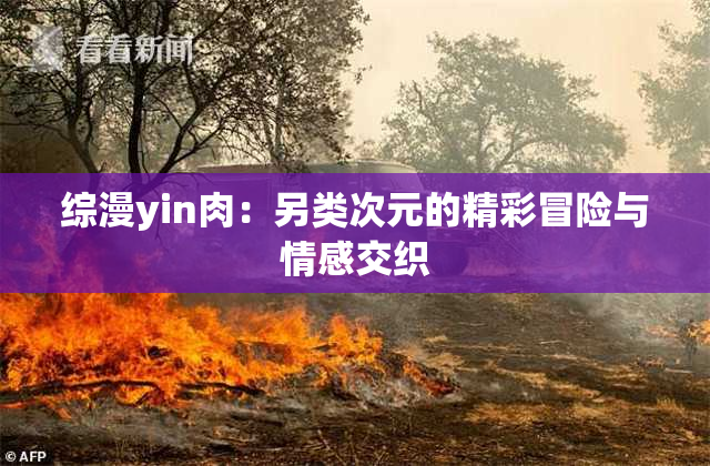 综漫yin肉：另类次元的精彩冒险与情感交织