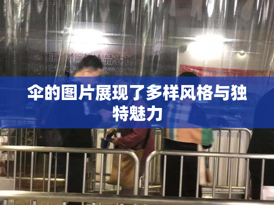 伞的图片展现了多样风格与独特魅力