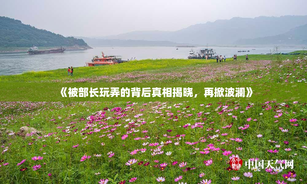 《被部长玩弄的背后真相揭晓，再掀波澜》