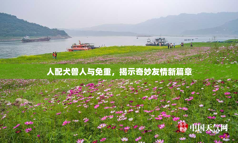 人配犬兽人与免重，揭示奇妙友情新篇章