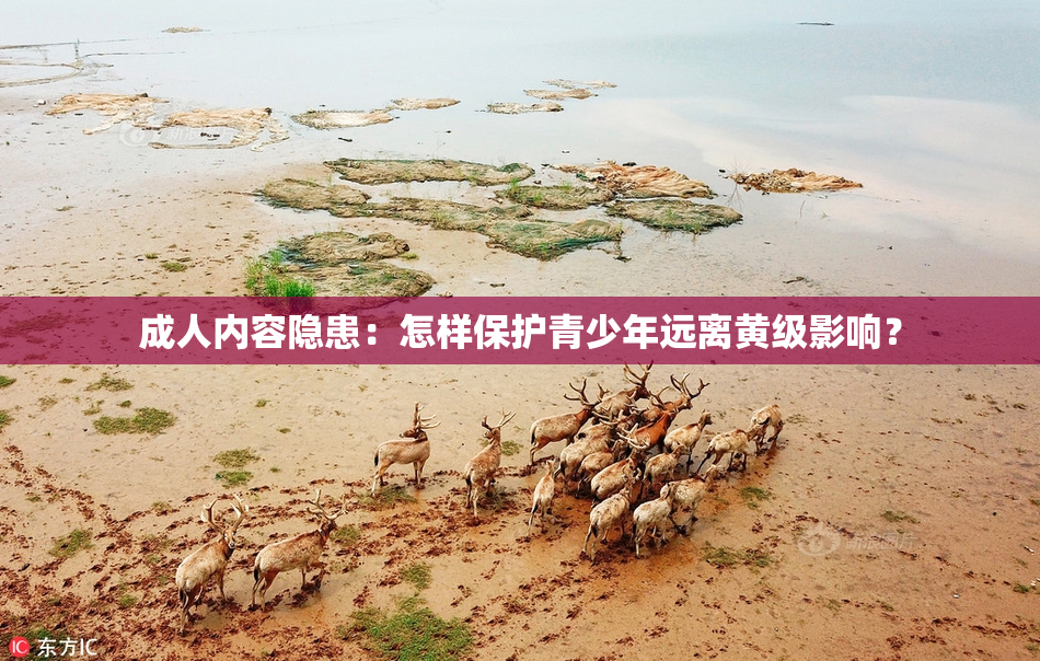 成人内容隐患：怎样保护青少年远离黄级影响？