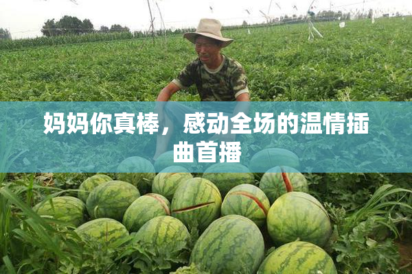 妈妈你真棒，感动全场的温情插曲首播