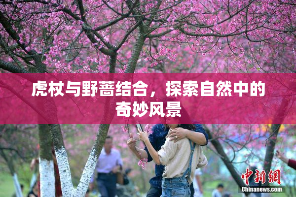 虎杖与野蔷结合，探索自然中的奇妙风景