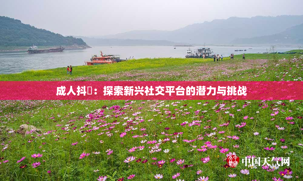 成人抖抈：探索新兴社交平台的潜力与挑战