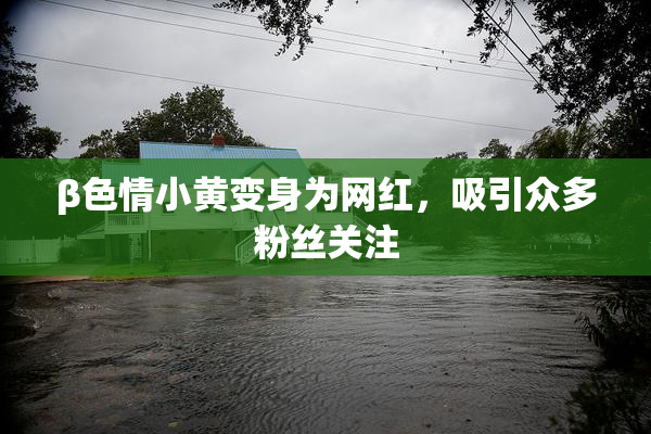 β色情小黄变身为网红，吸引众多粉丝关注