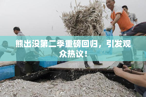 熊出没第二季重磅回归，引发观众热议！