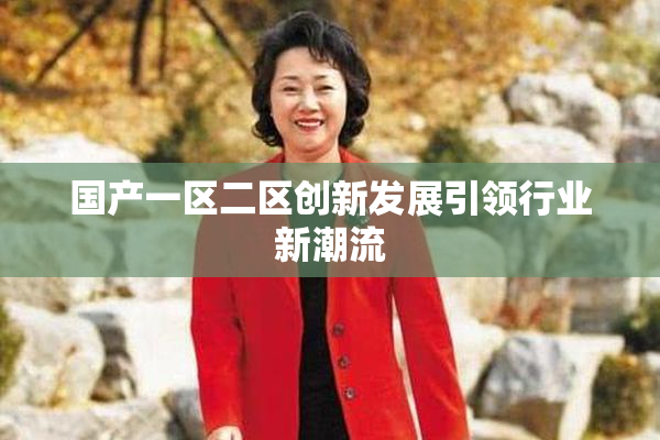 国产一区二区创新发展引领行业新潮流