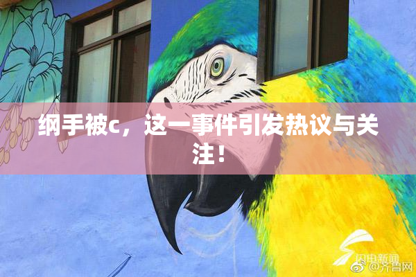 纲手被c，这一事件引发热议与关注！