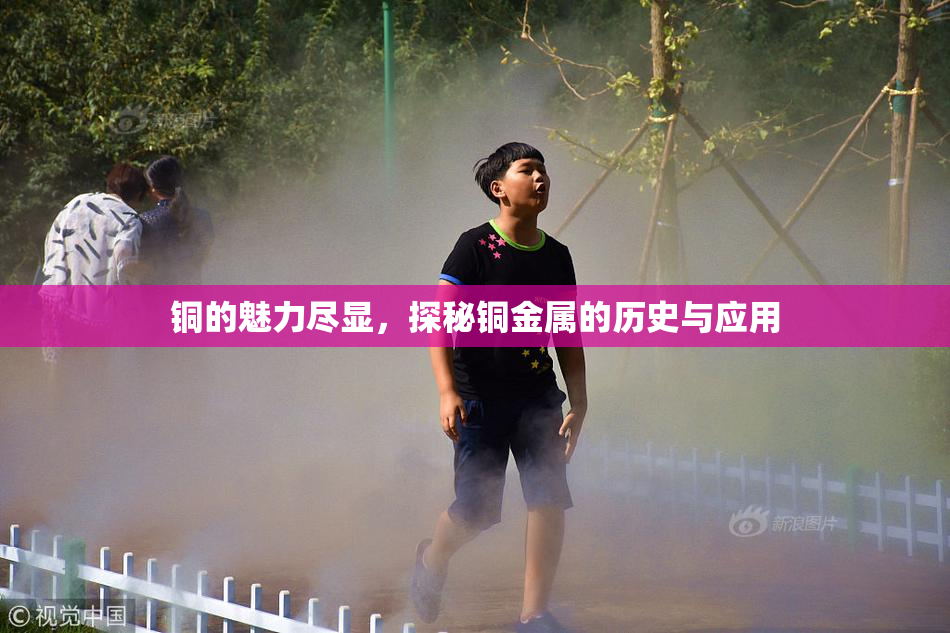 铜的魅力尽显，探秘铜金属的历史与应用
