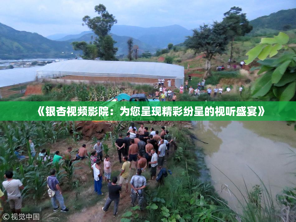 《银杏视频影院：为您呈现精彩纷呈的视听盛宴》