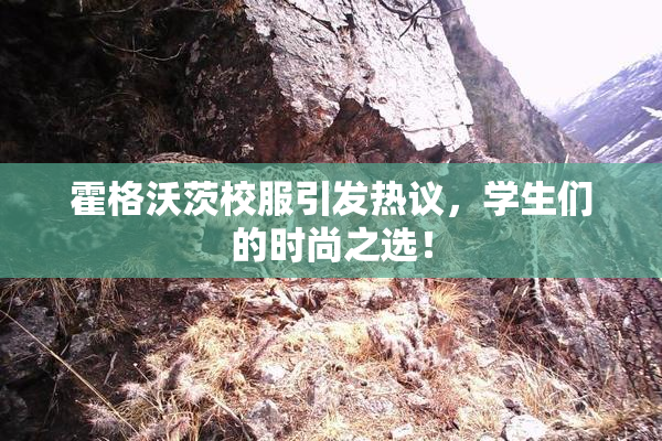 霍格沃茨校服引发热议，学生们的时尚之选！