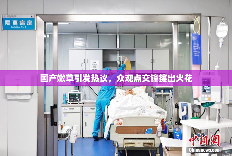 国产嫩草引发热议，众观点交锋擦出火花