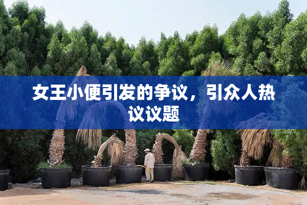女王小便引发的争议，引众人热议议题