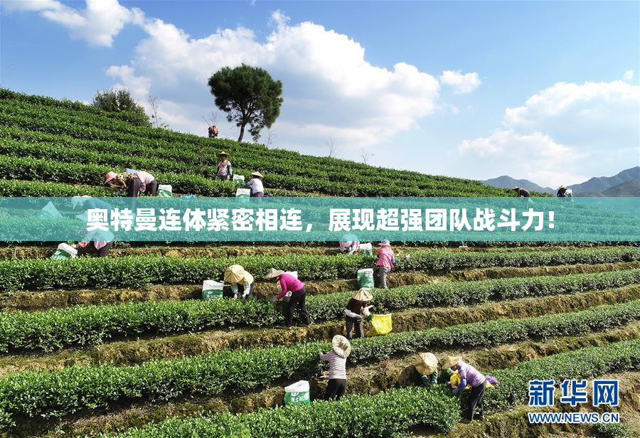 奥特曼连体紧密相连，展现超强团队战斗力！