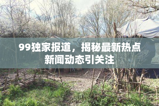 99独家报道，揭秘最新热点新闻动态引关注
