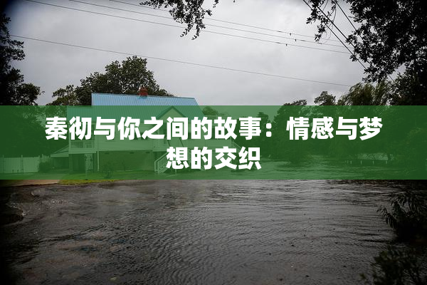 秦彻与你之间的故事：情感与梦想的交织