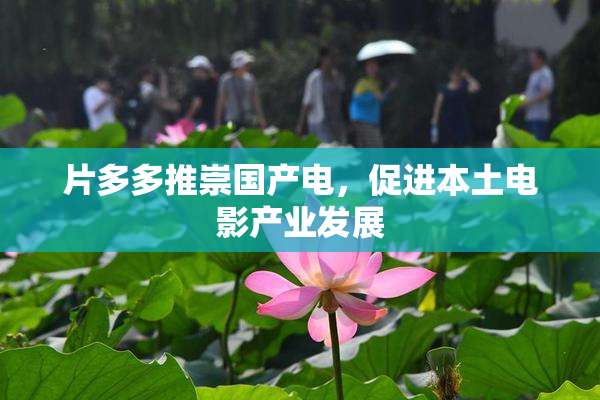 片多多推崇国产电，促进本土电影产业发展