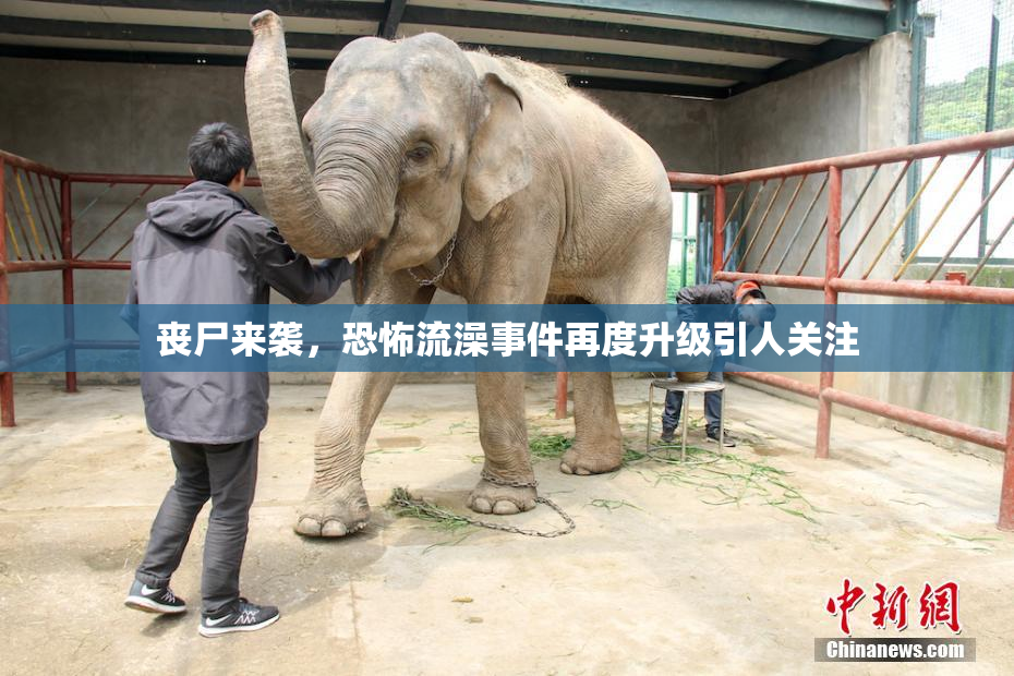 丧尸来袭，恐怖流澡事件再度升级引人关注