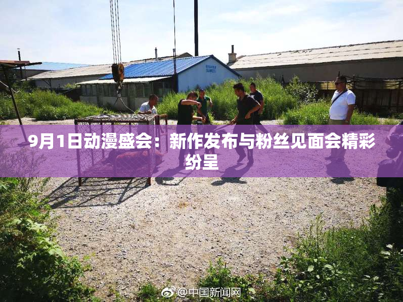 9月1日动漫盛会：新作发布与粉丝见面会精彩纷呈
