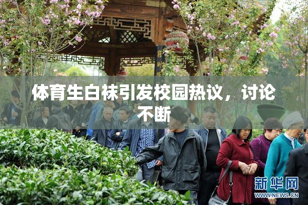 体育生白袜引发校园热议，讨论不断