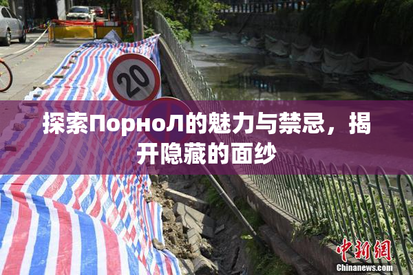 探索ПорноЛ的魅力与禁忌，揭开隐藏的面纱