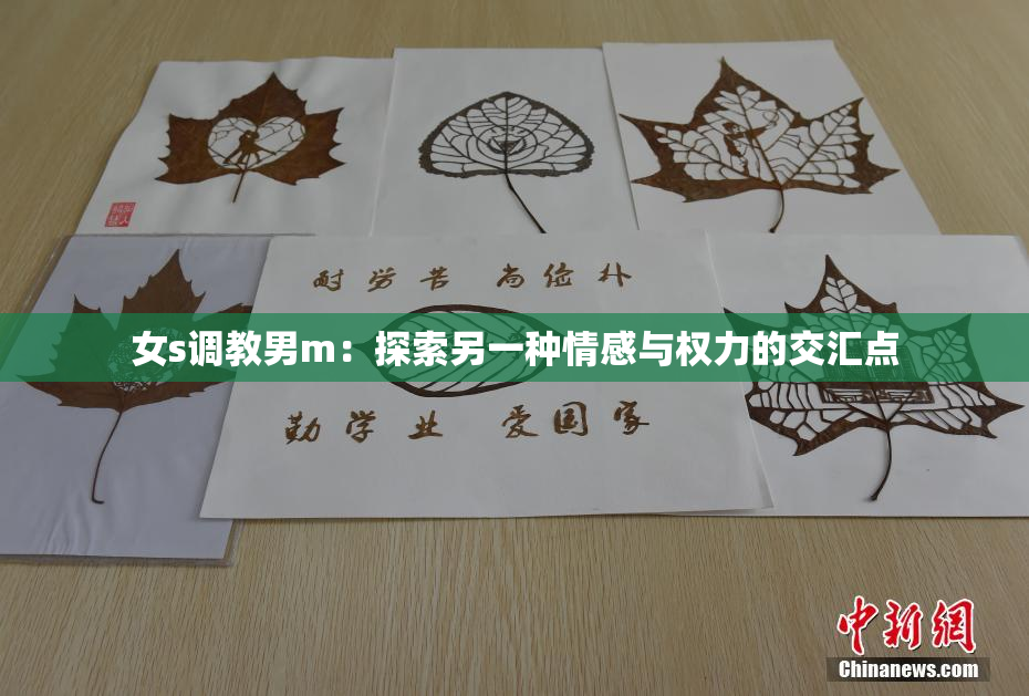 女s调教男m：探索另一种情感与权力的交汇点