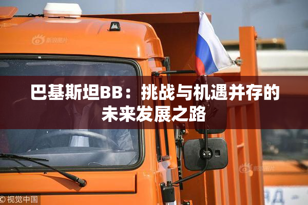 巴基斯坦BB：挑战与机遇并存的未来发展之路