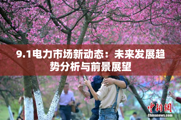 9.1电力市场新动态：未来发展趋势分析与前景展望