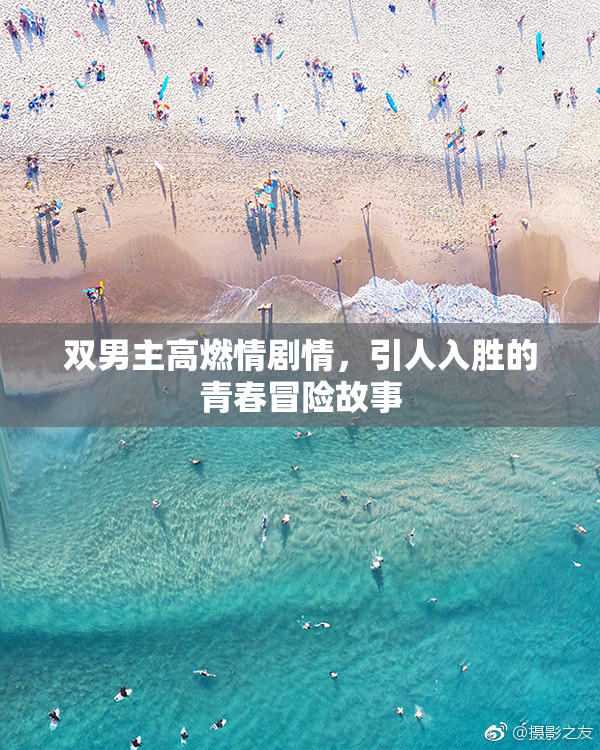 双男主高燃情剧情，引人入胜的青春冒险故事