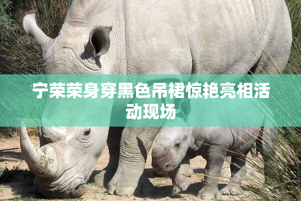 宁荣荣身穿黑色吊裙惊艳亮相活动现场