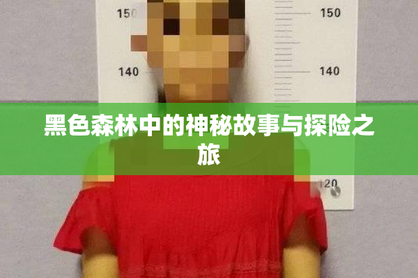 黑色森林中的神秘故事与探险之旅