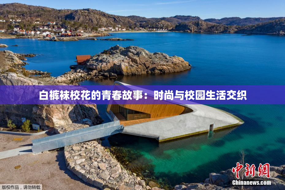 白裤袜校花的青春故事：时尚与校园生活交织