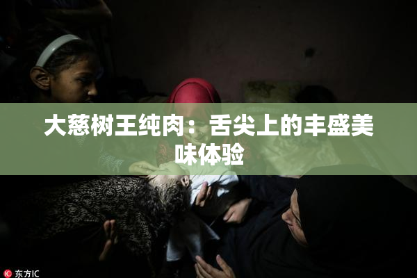 大慈树王纯肉：舌尖上的丰盛美味体验