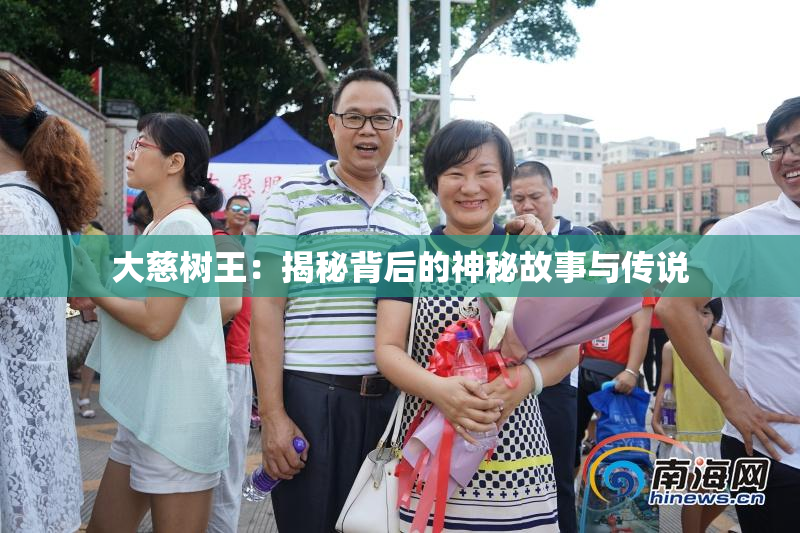 大慈树王：揭秘背后的神秘故事与传说