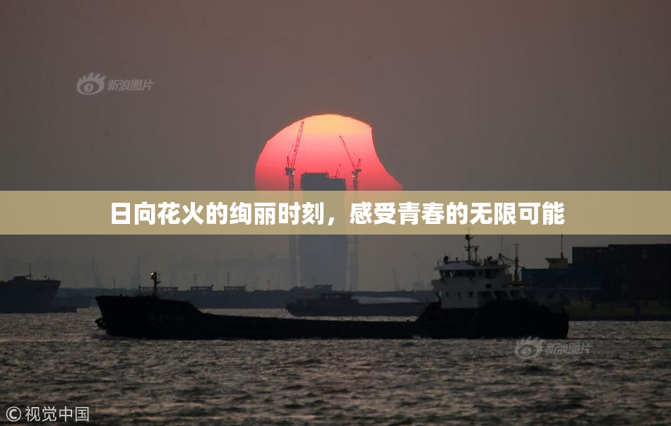 日向花火的绚丽时刻，感受青春的无限可能