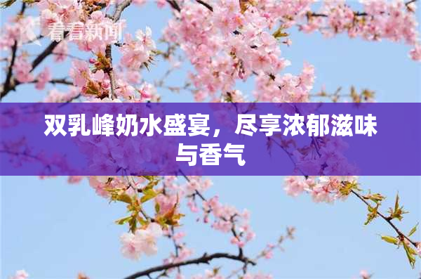 双乳峰奶水盛宴，尽享浓郁滋味与香气