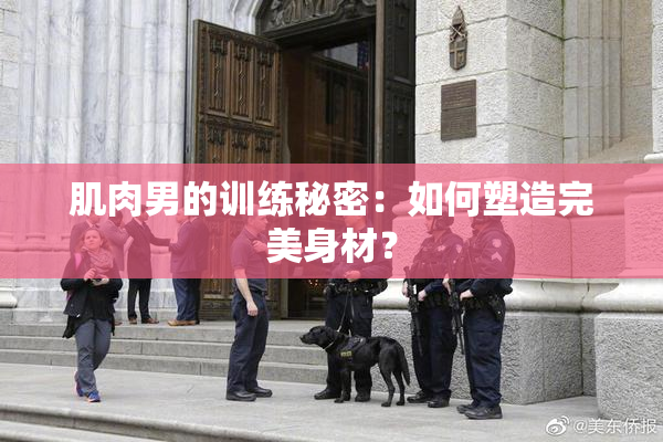 肌肉男的训练秘密：如何塑造完美身材？