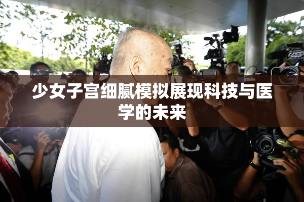 少女子宫细腻模拟展现科技与医学的未来