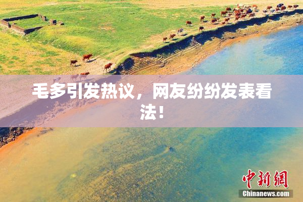 毛多引发热议，网友纷纷发表看法！