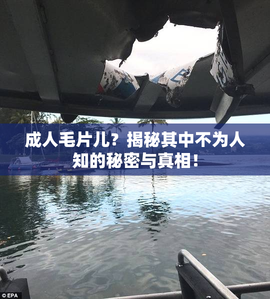 成人毛片儿？揭秘其中不为人知的秘密与真相！