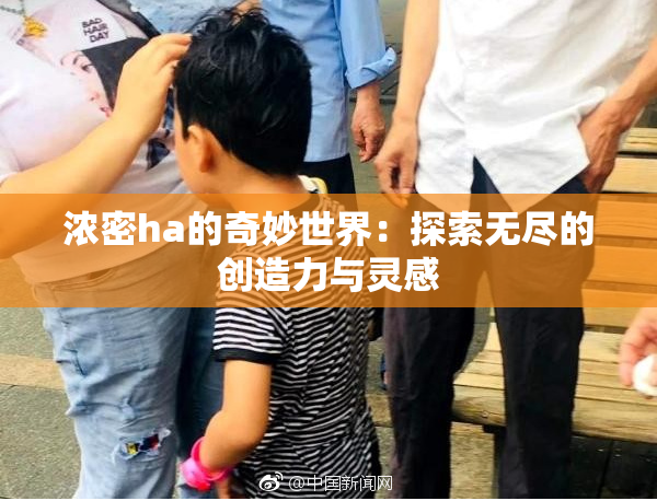 浓密ha的奇妙世界：探索无尽的创造力与灵感