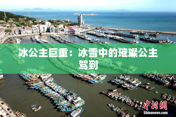 冰公主巨重：冰雪中的璀璨公主驾到